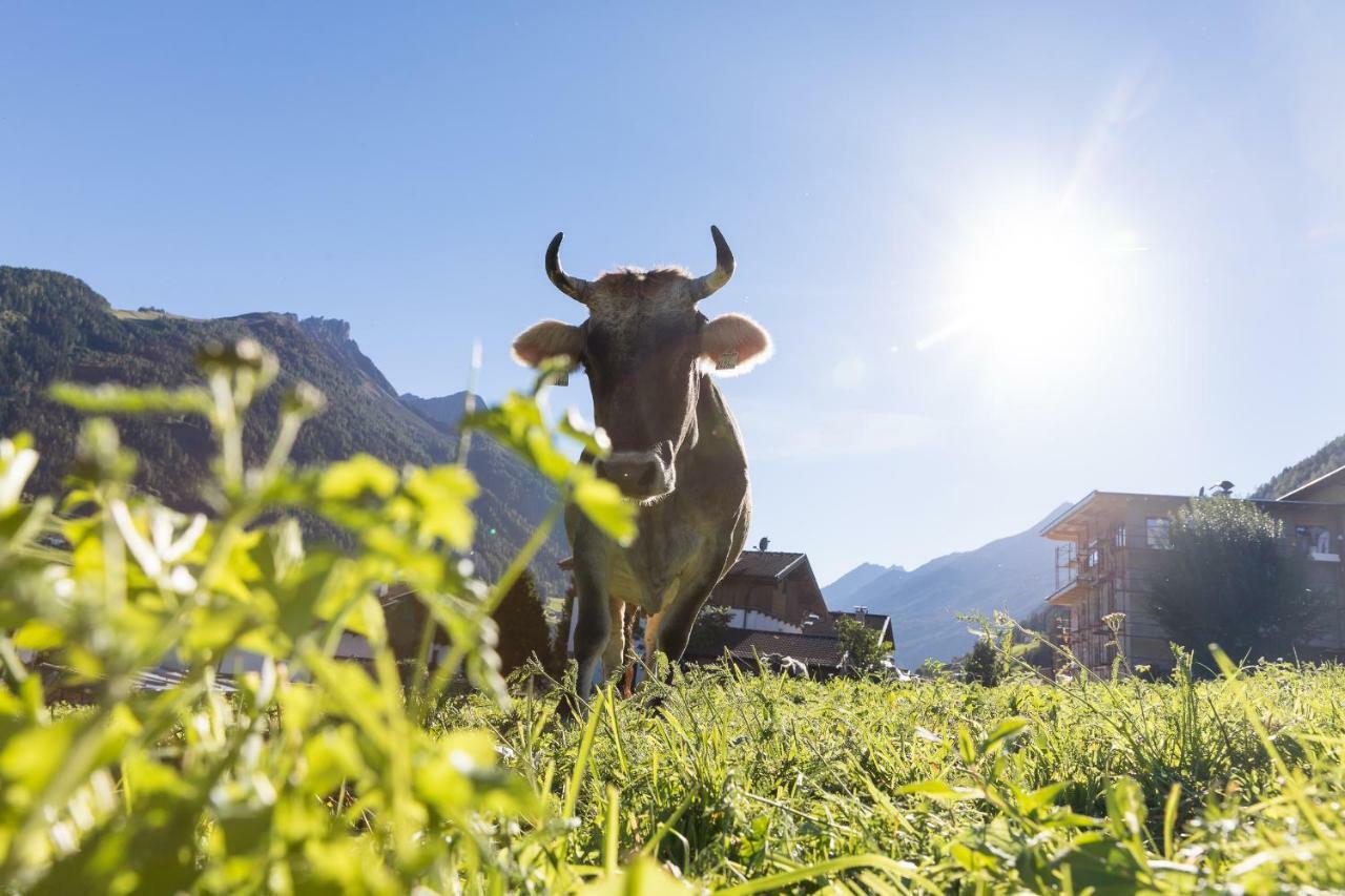 Hieserhof Neustift im Stubaital Exterior photo